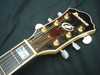 IBANEZ AF105 3.jpg